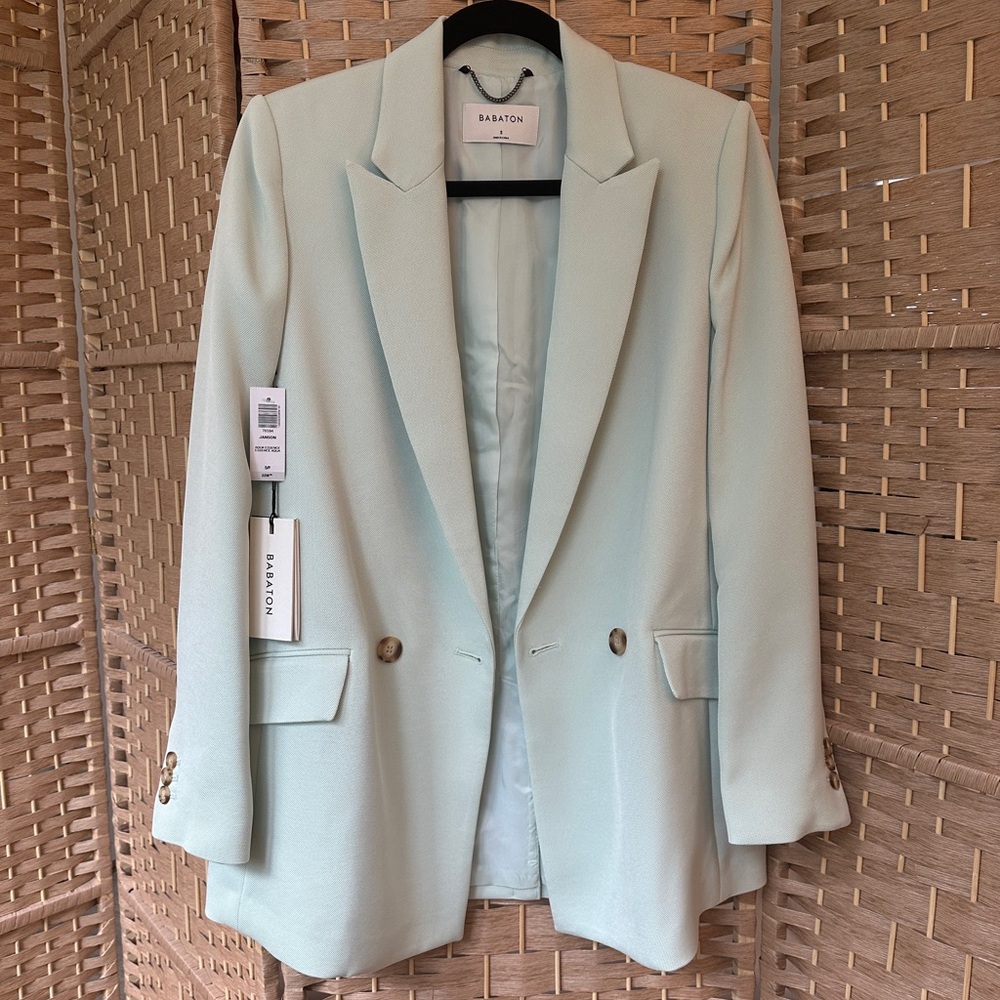 ARITZIA Babaton Janson Blazer